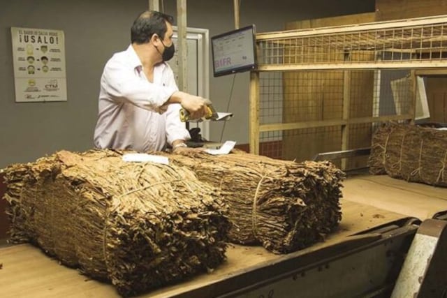 Se termina la temporada de acopio en Misiones