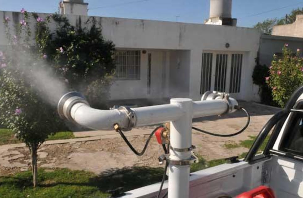 Dengue en Córdoba: 12 de cada 100 viviendas tienen larvas de Aedes aegypti