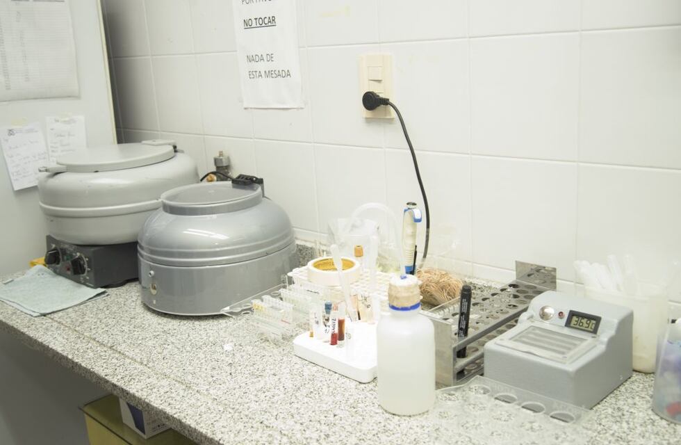 Nuevos equipos para Hemoterapia, Fisioterapia y Kinesiología en el Hospital Carlos Rodríguez