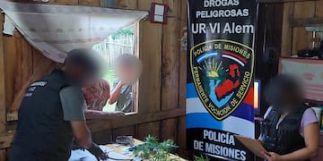 En un procedimiento por robo en San Javier, terminaron secuestrando plantines de marihuana.