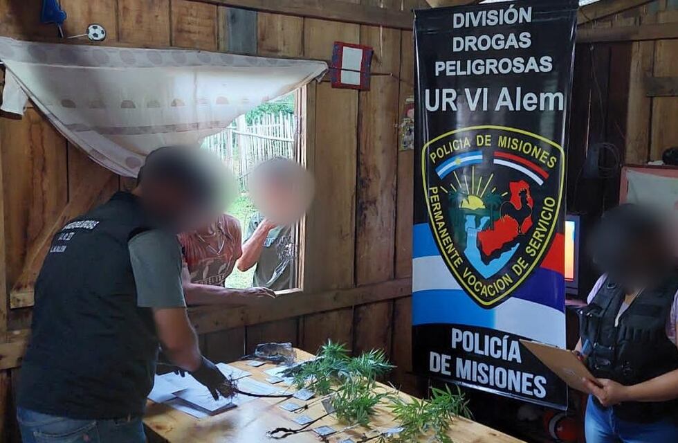 En un procedimiento por robo en San Javier, terminaron secuestrando plantines de marihuana