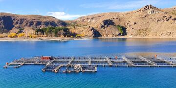 Una planta de acuicultura en Neuquén capacita y contrata personas con síndrome de Down. (Imagen ilustrativa).