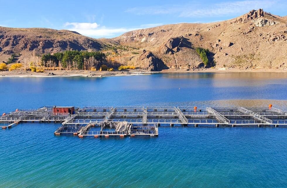 Innovación e inclusión: una planta agroindustrial en Neuquén capacita y contrata personas con discapacidad