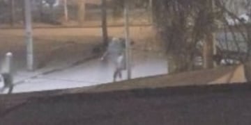 Así detuvieron a los dos ladrones en Córdoba.