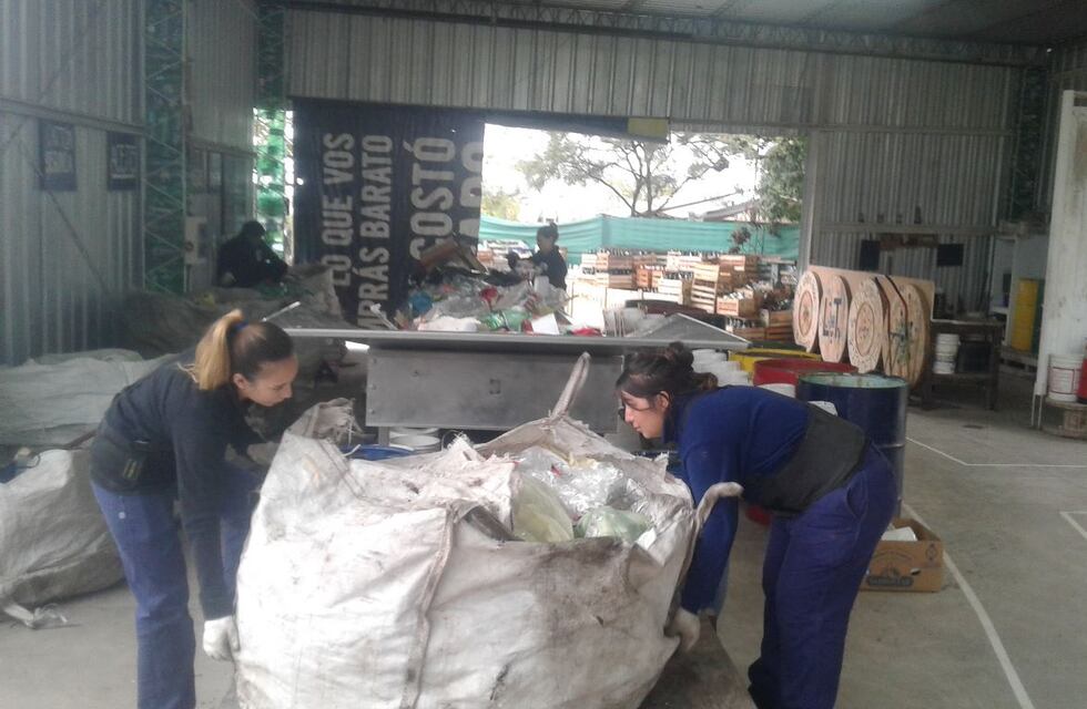 Héroes reales: descubrí a Los Triunfadores, jóvenes de Godoy Cruz que recogen residuos para reciclar