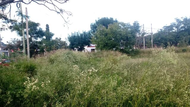 En lo que va del año, se notificaron ya a 495 dueños de terrenos.