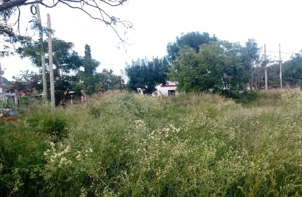 Durante marzo en Salta se labraron 300 actas de infracción por terrenos baldíos