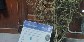 Policía de Tres Arroyos incauta un kilo de droga y hay un aprehendido en dos allanamientos
