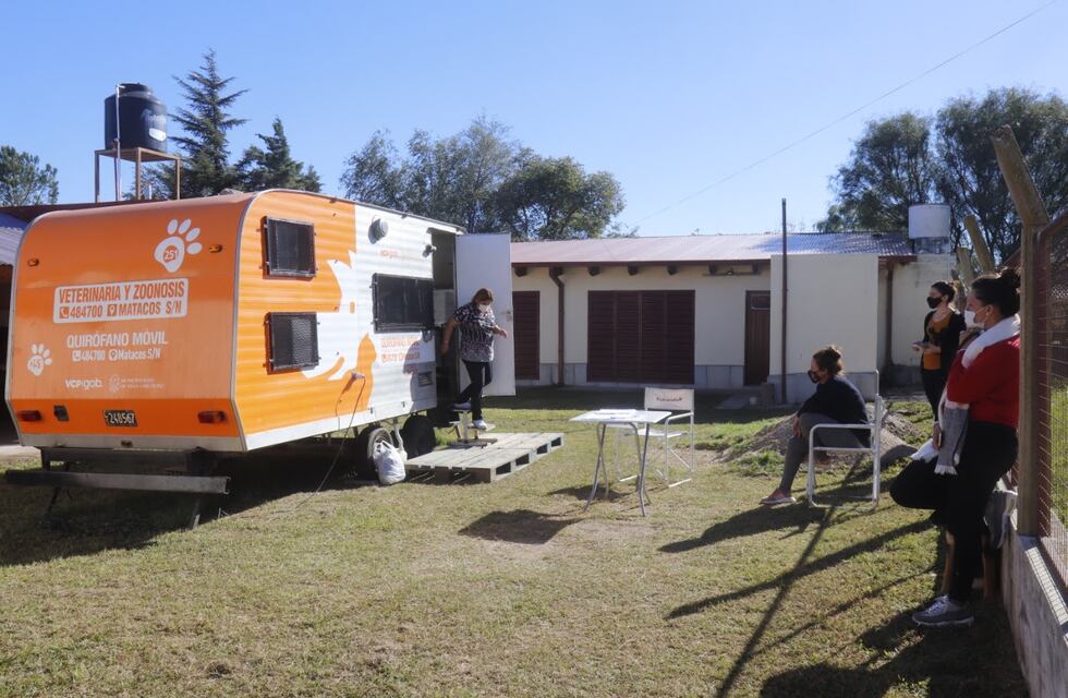 Carlos Paz: castraciones para perros y gatos en barrio El Canal