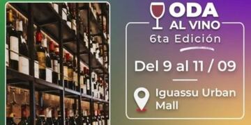 Gozá de una experiencia única y maravillosa con “Oda al Vino” de Misiones Maravilla EVT.