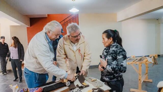 Lana de vicuña catamarqueña: una joya de la Puna que conquista mercados internacionales.