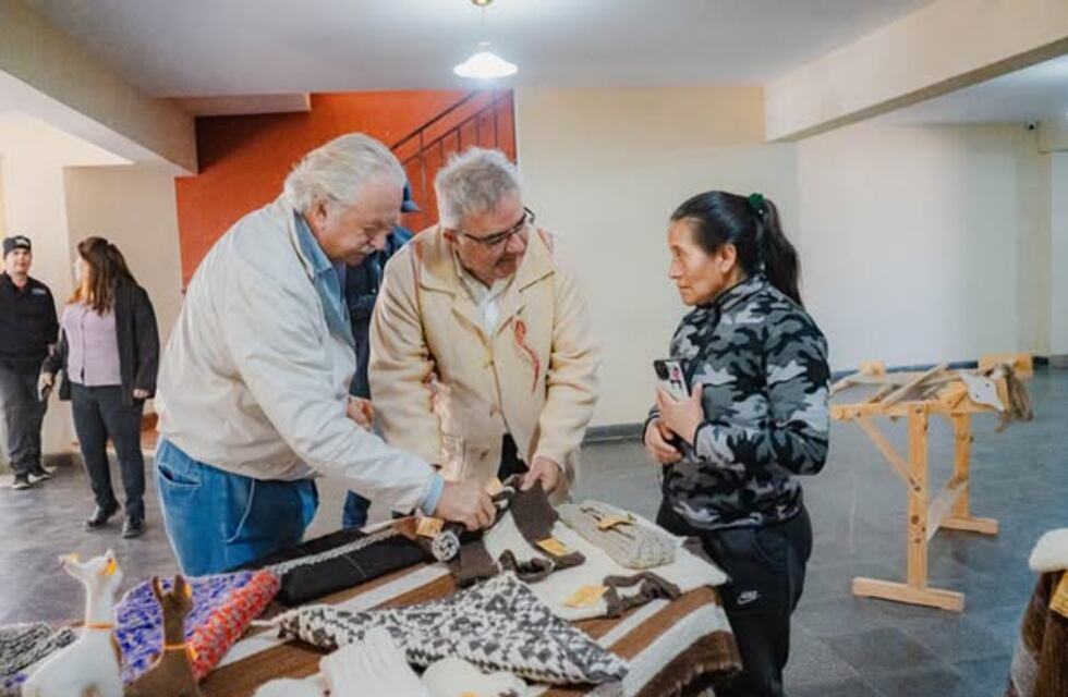 De la Puna al mundo: fortaleciendo la producción de lana de vicuña