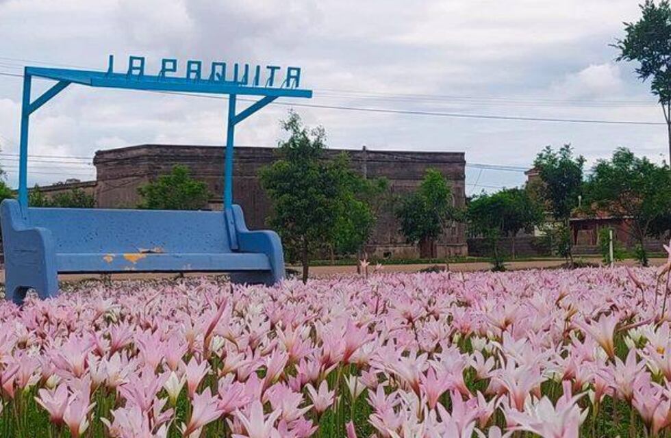 Un paisaje de película: la localidad de Córdoba que sorprende con su tapiz rosa de azucenas