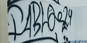 Un joven fue detenido tras actos vandálicos en San Pedro.