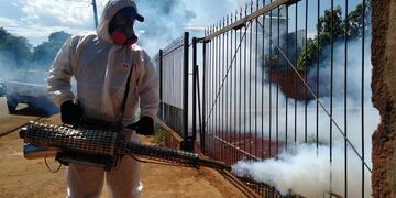Sin casos de dengue sospechosos en Puerto Iguazú.