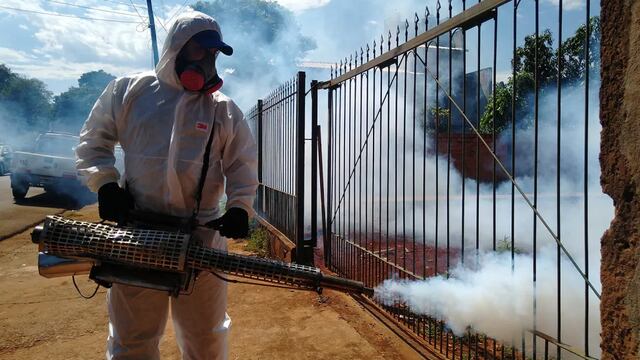 Sin casos de dengue sospechosos en Puerto Iguazú.