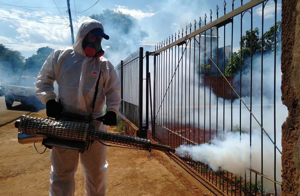 Sin casos de dengue sospechosos en Puerto Iguazú