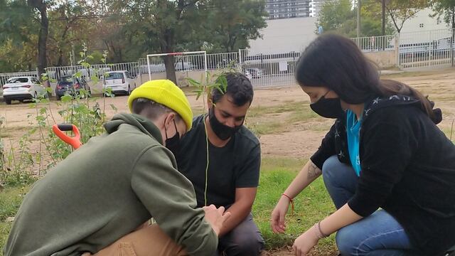 Nueva jornada de forestación junto a la comunidad educativa de la escuela Carlos N. Paz y los jóvenes de Interact del Rotary.