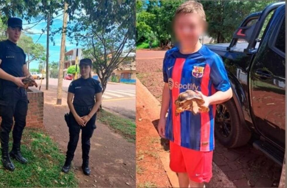 “Totu”, la tortuga perdida en Oberá, encontró a sus dueños