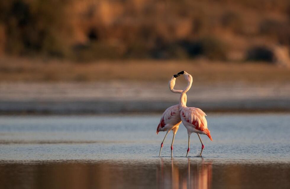 Clima en Ansenuza: lunes con cielo despejado y húmedo