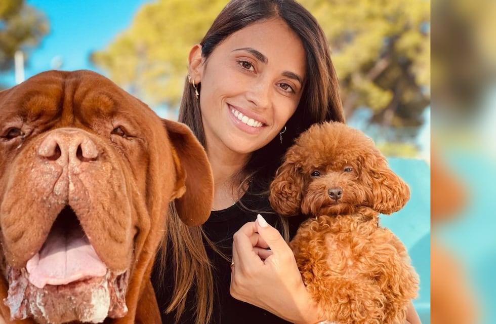 Lionel Messi y Antonela Roccuzzo no estarían pasando un buen momento: una de sus mascotas los preocupa