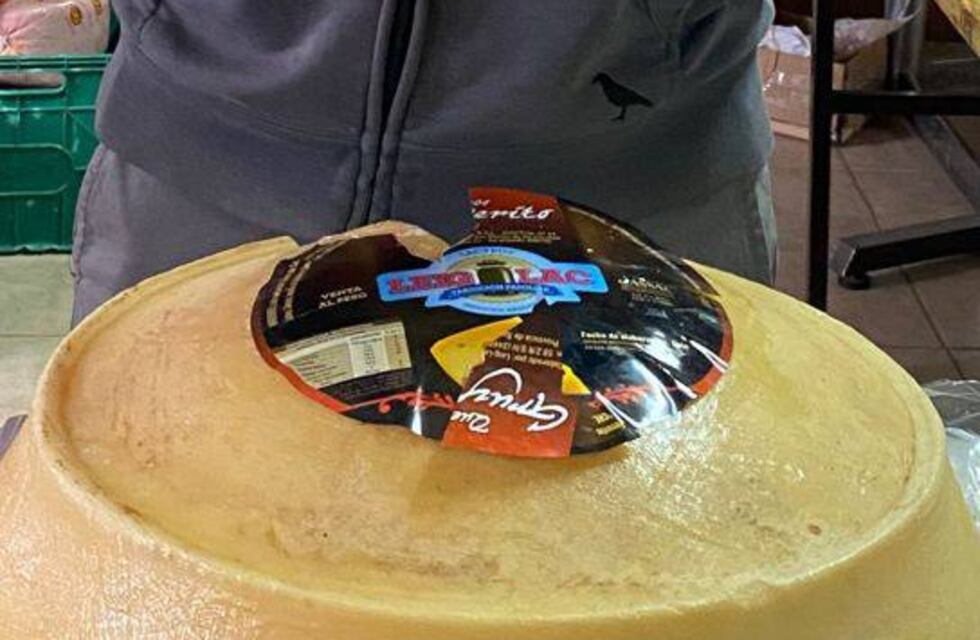 Ushuaia: Se lanzó la primera cooperativa láctea de Tierra del Fuego