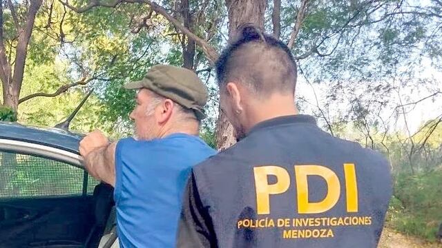 La Policía detuvo al hombre que dejó encerrado a los perros en el auto y murieron a causa del calor.