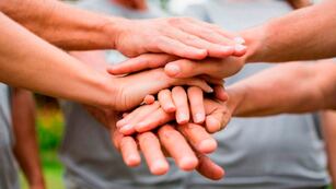 Día Internacional de los Voluntarios. Foto: Primera Edición
