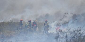 Los incendios en Puerto Madryn arrazaron con más de 90 mil hectáreas.