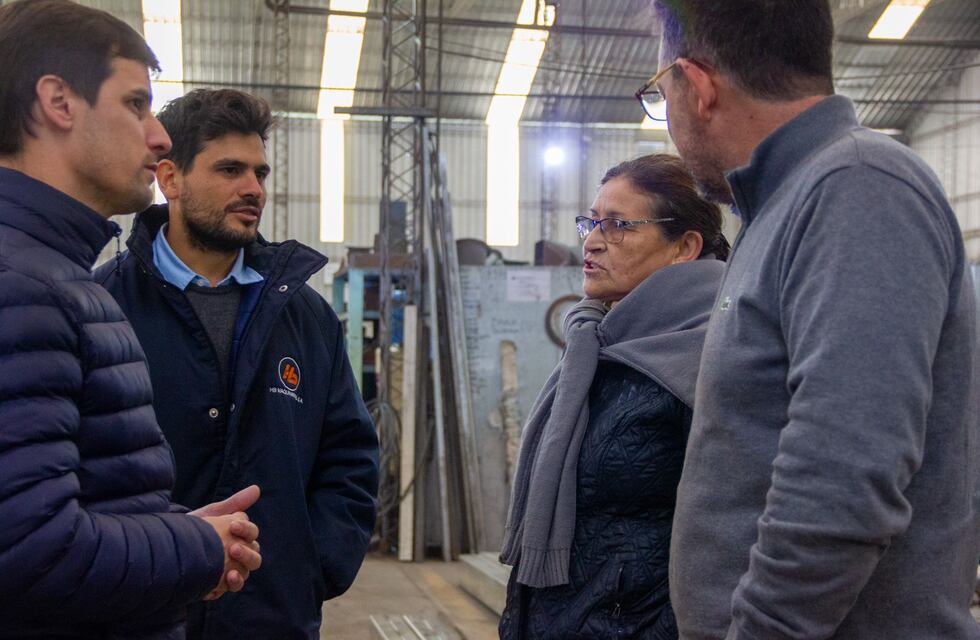 “El Estado debe ser socio de la industria local para impulsar su crecimiento”