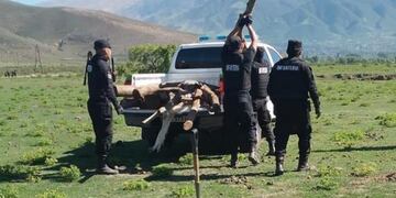 Patrimonio en alerta: nueva plataforma ciudadana para proteger tierras fiscales y áreas naturales.