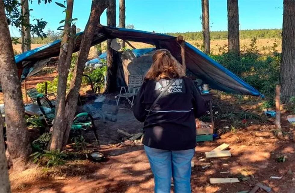 Denuncian explotación laboral en establecimientos forestales en Wanda