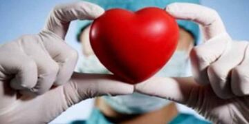 Donación de órganos (imagen ilustrativa).