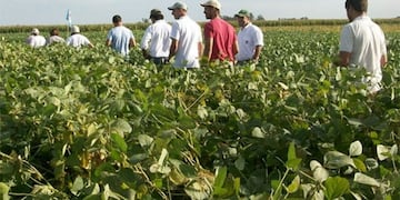 Harán en Tandil un encuentro que busca promover la agricultura natural y sustentable