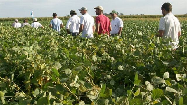 Revision de soja en contratos de aparcería