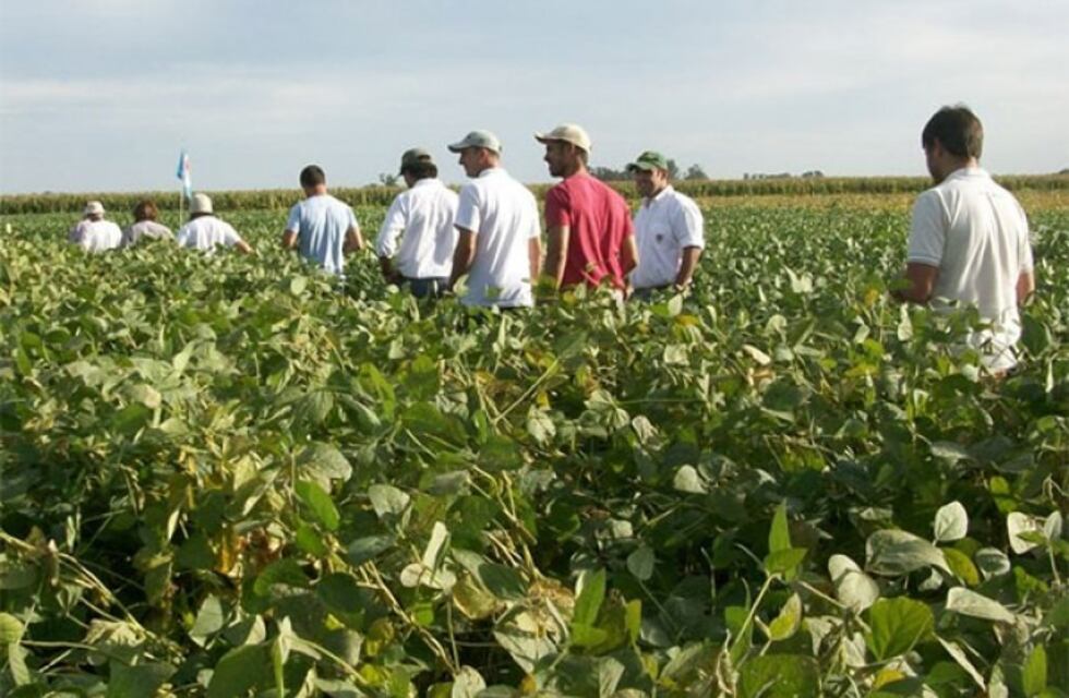 Arriendo o me asocio