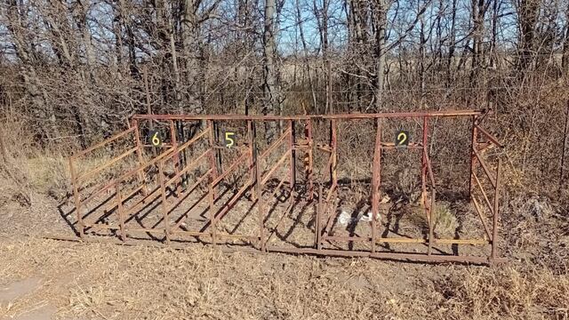 Los aprehendidos realizaban carrera de galgos.