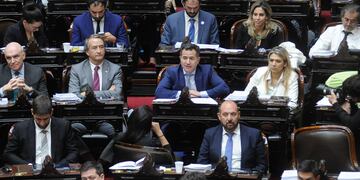 Diputados, debate y votación de la "Ley Bases". Foto Federico Lopez Claro