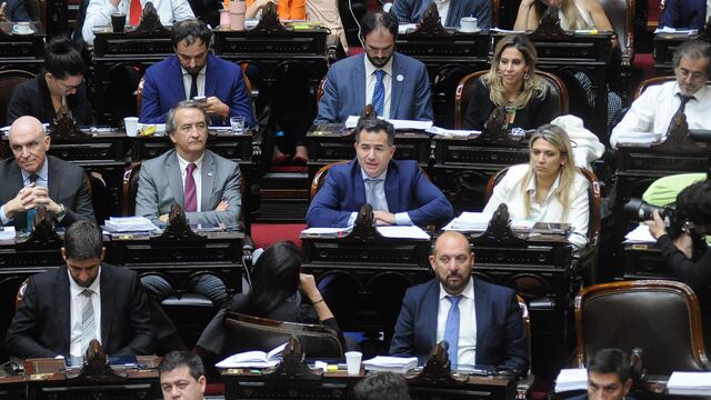 Diputados, debate y votación de la "Ley Bases". Foto Federico Lopez Claro
