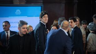 El senador y titular de la UCR Martín Lousteau presentó dictámenes propios en la Ley Bases y el paquete fiscal (Foto: Federico López Claro)
