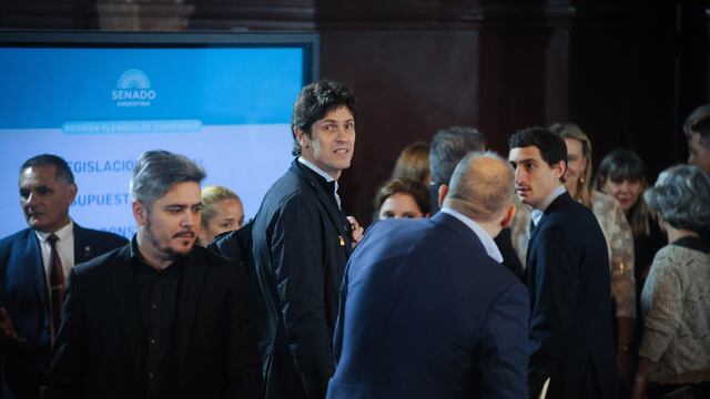 El senador y presidente de la UCR, Martín Lousteau, encabeza las críticas contra la "ley bases" (Foto: Federico López Claro)