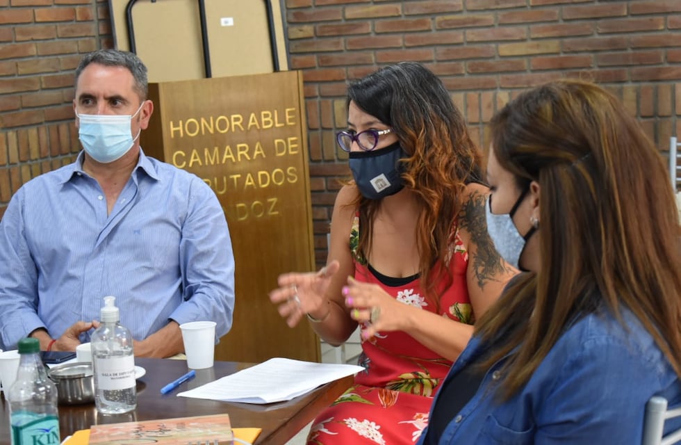 Se conformó la comisión de Género en Diputados