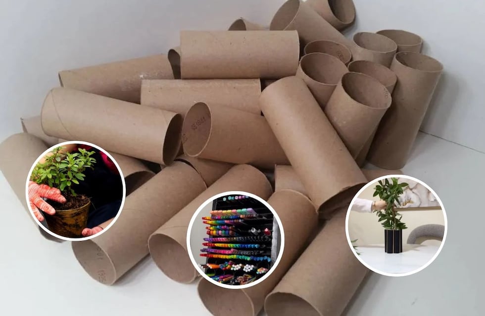 Cómo reciclar rollos de papel higiénico: tres ideas para transformarlos en un tesoro para la casa