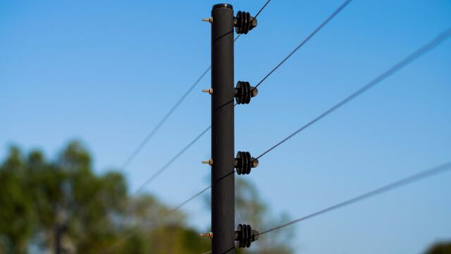 Piden reglamentar la instalación de cercos eléctricos