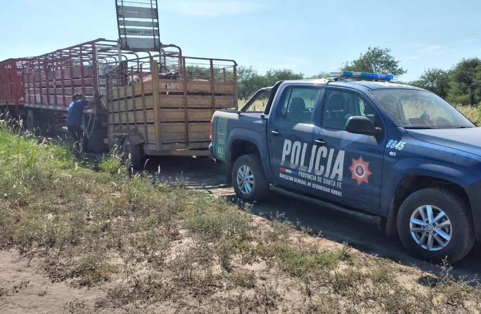 Desbarataron en Ceres una banda de ladrones de ganado de Santiago del Estero