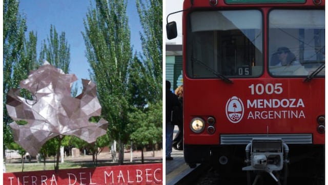 Luján de Cuyo y Maipú se disputan la final.