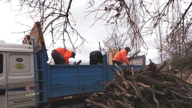 Entregan leña y abrigo a familias vulnerables en San Rafael.