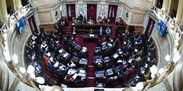 El Senado sesiona para aprobar una batería de proyectos de ley (Foto: Comunicación Senado)