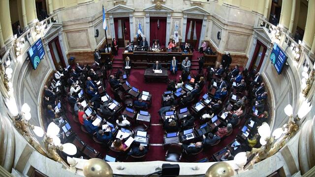 El Senado sesiona para aprobar una batería de proyectos de ley (Foto: Comunicación Senado)