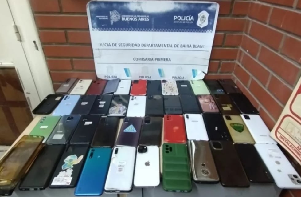 Bahía Blanca: robaron 45 celulares en el recital de Don Osvaldo y fueron detenidos